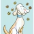 Shampoo Aquapet 5L (para cães e gatos) - loja online