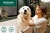Perfume Colônia Pet Granado 120ml (para cães e gatos) na internet