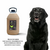 Shampoo Pet Clean 5L (para cães e gatos)