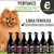 Perfume Pet Essência Pet 60ml - fixação por até 1 semana (para cães e gatos) na internet