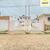Apartamento para Venda