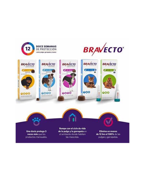 ZOOTERAPICOS 