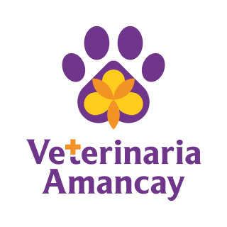 Amancay