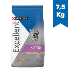 EXCELLENT GATO KITTEN x 7,5Kg