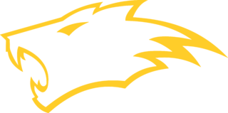 Apuama Racing