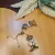 Pulseiras Celebrate Metal