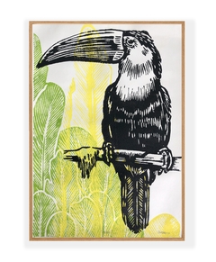 “Tucano”