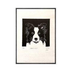 “Border Collie”