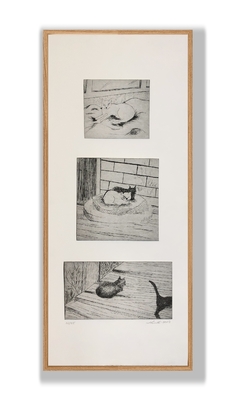 “Gatos”