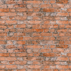 Empapelado y Vinilo Para Pared Nro 487