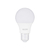 LAMPADA DE LED 9W LUZ BRANCA BIVOLT ELGIN - Pontualto