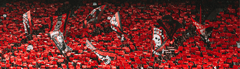 Banner da categoria Quadros