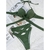 Maiô Feminino Conjunto Banhista Sexy - Descompliqueme