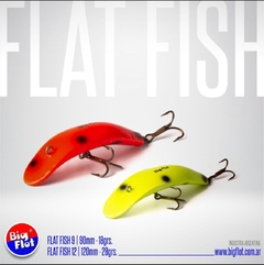 Señuelo FLAT FISH 9