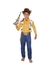 WOODY T3