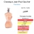 Classique Jean Paul Gaultier Eau de Toilette - Perfume Feminino 100ml - Tester - (Ganhe Brinde)* (Ganhe Amostras) - comprar online