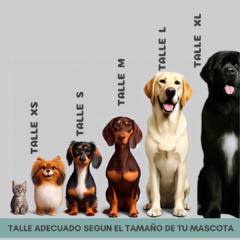 MODELO DOBLE- TALLE M 20 CM DE ALTO en internet