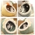 Cama De Gato Para Dormir Cesta De Pelúcia Quente Para Animais De Estimação - Petdear | Guias, Brinquedos e Acessórios