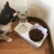 Tigela De Gato Dupla Antiderrapante Para Cães Com Suporte - comprar online