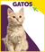 Produtos para Gatos