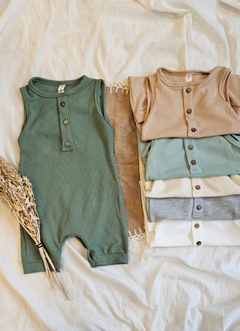 Mono Musculosa