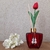 Difusor de aromas vidro Estrela- 250 ml.