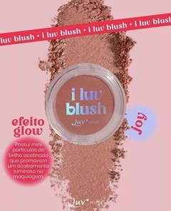 I LUV BLUSH - LUV BEAUTY C - Barbienacaixastore