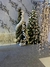 Consórcio de Natal