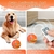 Bolinha De Rolagem Laranja Com Controle Remoto Para Cães. na internet