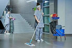 Mopa Ultra Mop 40 cm Microf. en internet