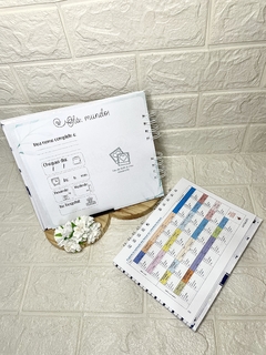 kit caderneta e livro do bebe na internet