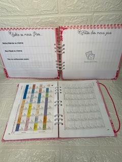 kit caderneta e livro do bebe na internet