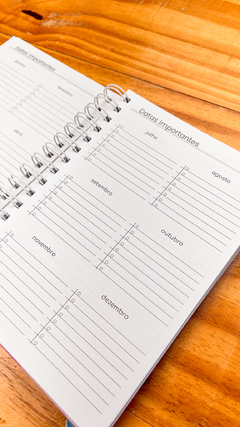 AGENDA 2 DIAS POR PÁGINA DATADA capa brilho simples - comprar online