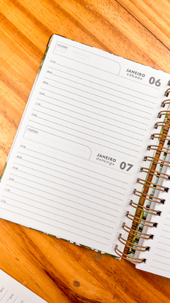 AGENDA 2 DIAS POR PÁGINA DATADA capa brilho simples - loja online