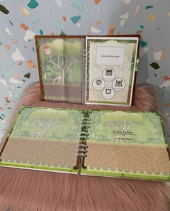 kit caderneta e livro do bebe