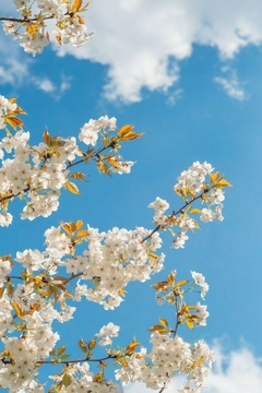 Banner de la categoría PRIMAVERA/VERANO ( liquidación)