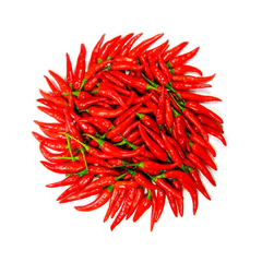 Pimenta Malagueta na internet