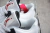 Air Jordan 4 Retro OG White CEMENT - loja online