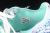 ASICS GEL KINSEI White GREEN PURE SILVER na internet
