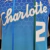 Camiseta Regata Charlotte Hornets Azul Clara - Nike - Masculina - loja online