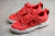 Nike Dunk SB Low Disrupt Rouge Gym - PAIVA SPORTS
