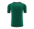 Camisa Paris Saint-Germain Treino 24/25 - Torcedor Nike Masculina - Verde com detalhes em vinho - comprar online
