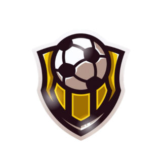 PAIVA SPORTS