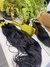 Cabelo brasileiro ondulado 65/68 centímetros - comprar online