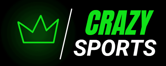 CRAZY SPORTS / CAMISAS DE TIMES