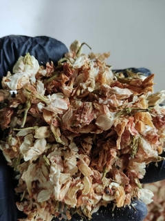 Flor de jazmín deshidratado