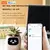 Ivy - Vaso Inteligente com Personalidade na internet