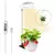 Ambiente Vivo – Luz Decorativa e que Simula a Luz do Sol - Einfath