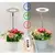 Imagem do Ambiente Vivo – Luz Decorativa e que Simula a Luz do Sol
