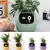 Ivy - Vaso Inteligente com Personalidade